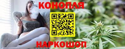 крисы Нальчик