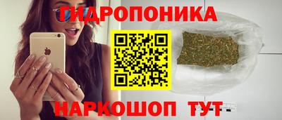 крисы Нальчик