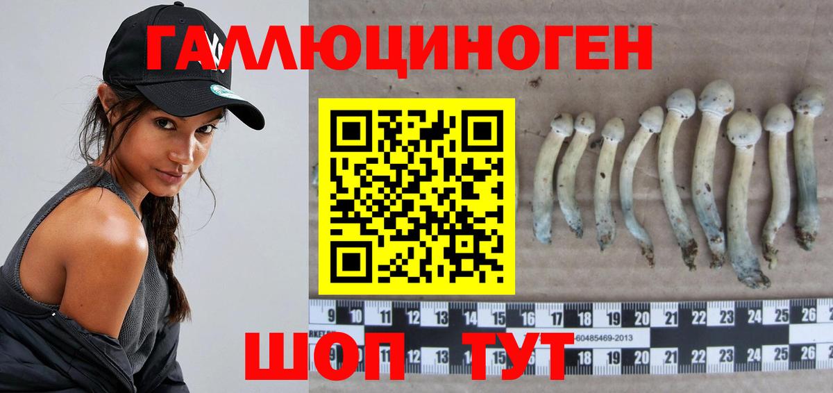 Ступино  Галлюциногенные грибы прущие грибы  Галлюциногенные грибы прущие грибы  Вход с VPN 