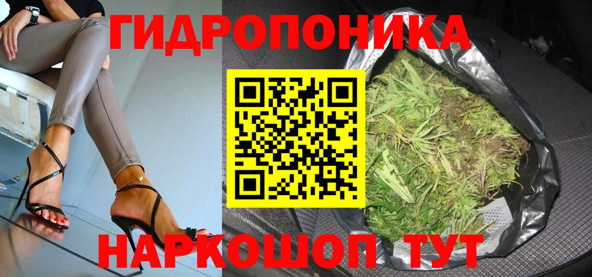 Канабис семена Ступино